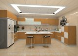 Modular Lacquer Wooden Kitchen Cabinet (S101)