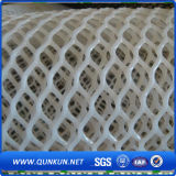 High Quality Hexagonal Plastic Netting