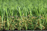 Iris Landscaping Grass