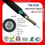 HDPE Factory 48 Core Direct Buried Armour GYTA53 Optical Cable