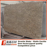 Granite Slabs - Giallo Cecilia