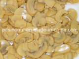 Canned Champignon Pns in Brine with Mushroom Nature Taste (HACCP, ISO, HALAL, KOSHER, BRC, FDA)