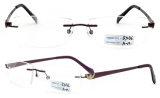 2015 Titanium Eyeglass Frames (BJ12-296)