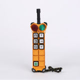 Crane Control Radio Remote (F24-6D)