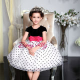 Appliqued Flower Girl Dress, Children Apparel, Kids Evening Dress