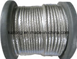 Stainless Steel Wire Rope (7X7; 6X7+PP/FC/IWRC)