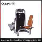 Fitness Equipment Rotary Calf