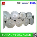 Cast PE Coated Paper for Cup