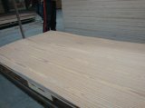 Natural Oak Faced Plywood