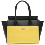 Genuine Leather Lady Satchel Bag Famous Brand Designer Handbags (CSYH215-001)