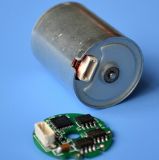 BLDC Motor for Personal Care