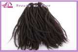 Afro Kinky Weft, 100% Kanekalon Fiber From Japan with Best Quality