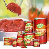 High Quality Canned Tomato Paste 70g~4.5kg with Brix 22-24% and 28-30% or Customized