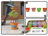 3 Inch DIY Garden Ceramic Bucket Plants (901012) 