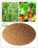 Powder Soluble Amino Acid Fulvic Acid Fertilizer for Agriculture