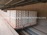 Clay Brick Making Factory with Tunnel Kiln