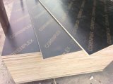 1250*2500*18mm Twice Hot Press Plywood /Shuttering Plywood
