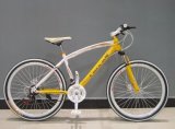 Cool Mountain Bicycle with F/R Disc Brake (AFT-MB-064)