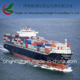 Ocean Transport Shipping Agent in China to Venezuela