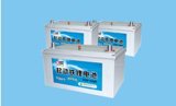 Automobile Starting Battery