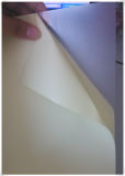 0.07mm Hot Melt Pet Sheet Transparent Color, Photo Album Inner Sheet