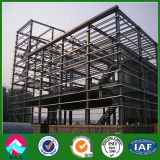 Steel Structure Buidling for Commercial Plant (XGZ-SSB140)