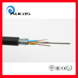 Single Mode 12 Core Fiber Optical Cable (GYXTY)