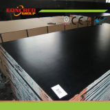 1220*2440mm 1250*2500mm Film Faced Marine Plywood Shuttering Plywood