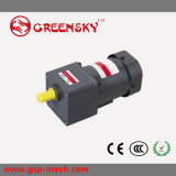 GS High Efficient 60W 90mm Electric AC Induction Motor