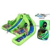 Wonderfull Inflatable Water Slide (SL-011)