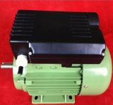 CE Approved Wide Use Electric Motor (YL)