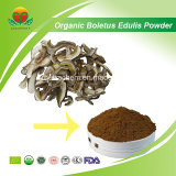Manufacture Supply Organic Boletus Edulis Powder