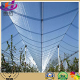 China Knitted Hail Proof Nets with Good Quality
