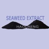 Plant Growth with Soluble Seaweed Extract Powder Fertilizer