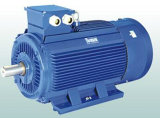 Y2 Low Voltage High Output Electric Motor 400kw-8