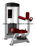 Rotary Torso Commercial Fitness/Gym Equipment with SGS