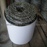 Iron Barbed Wire Mesh