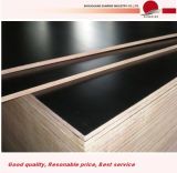 15mm Black Film Faced Waterproof Shuttering Concrete Form Plywood