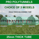 Poly Cover Flower Plant Greenhouse