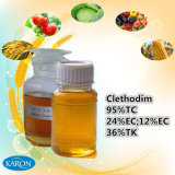 Famous Herbicide Product Clethodim Tc and Formulations
