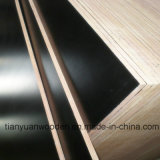 25mm Marine Plywood Building Material Film Faced Plywood