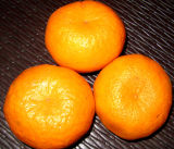 Professional Supplier Fresh Mandarin Orange (50-54mm)