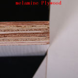 Melamine Faced Plywood for Furniture and Decoration
