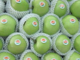Top Quality Fresh Green Gala Apple