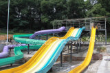 Forest Park Water Slide Combination