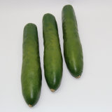 Artificial Vegetable, Imitative Polyfoam Cucumber (CBH08-1-0802)