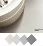 Quartz Porcelain Floor Tiles (ZWD6001P-5P)