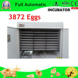 CE Marked High Efficient Chicken Egg Incubator Prcies (WQ-3872)