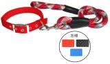Colorful Nylon Pet Dog Collar and Leash for Pet Products (JCLC-1633)