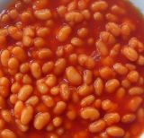 Canned Baked Bean in Tomato Sauce